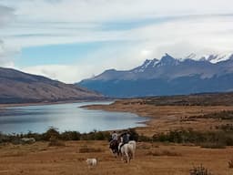 Cabalgata «Bosques y Lagos»