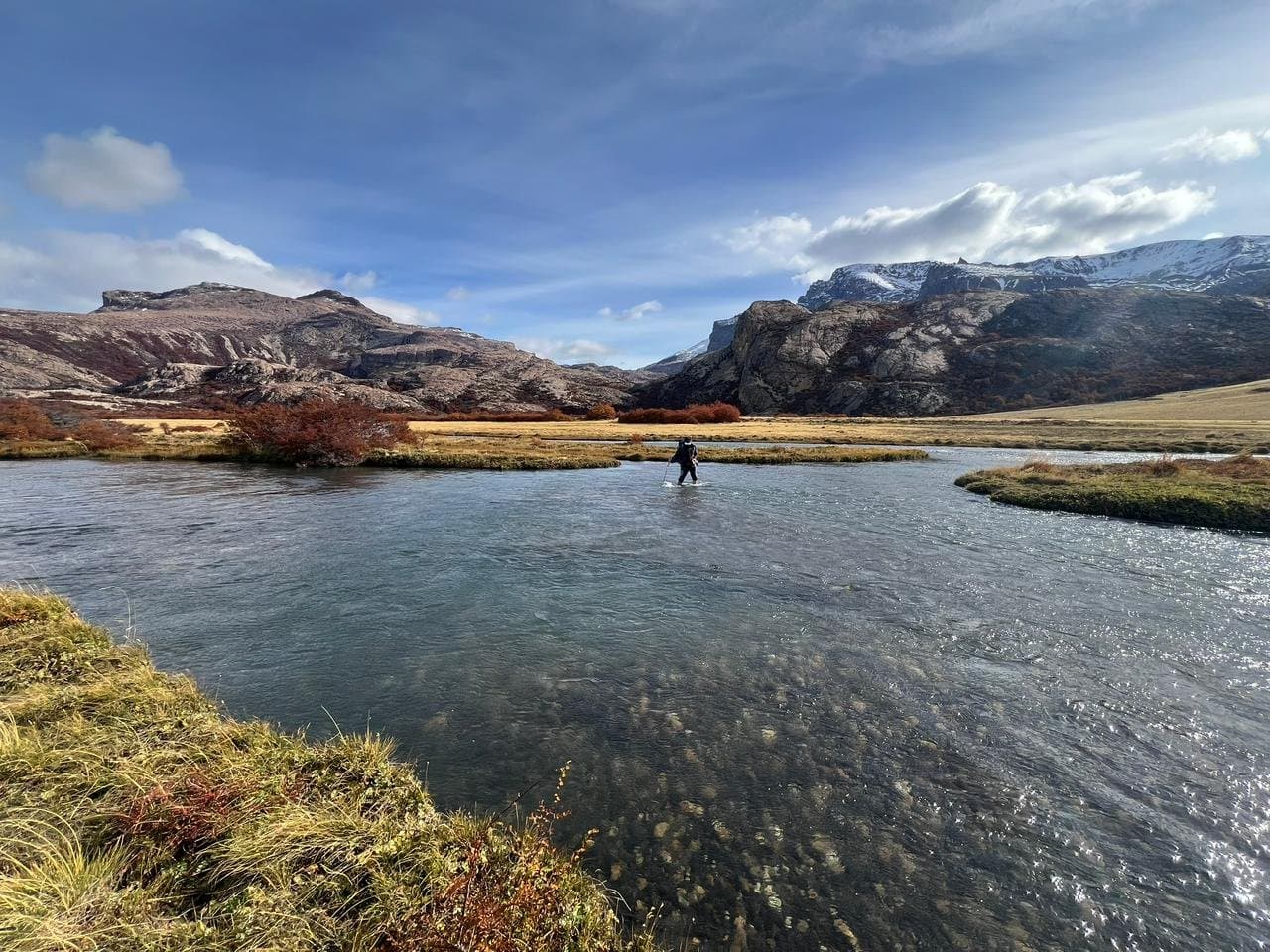 Guanaco trekking Laguna Azul