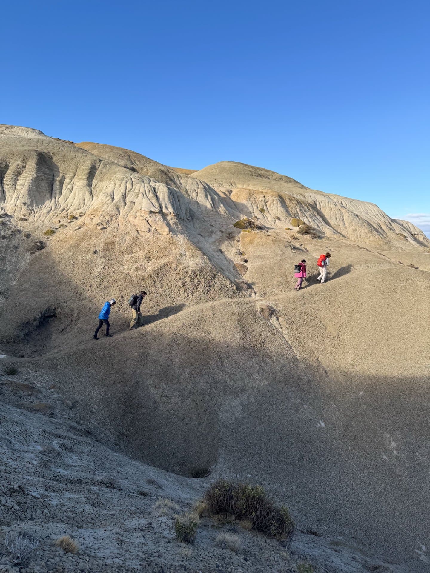 Bosque Petrificado La Leona: Walkers of the Sun — Caminantes del Sol 5