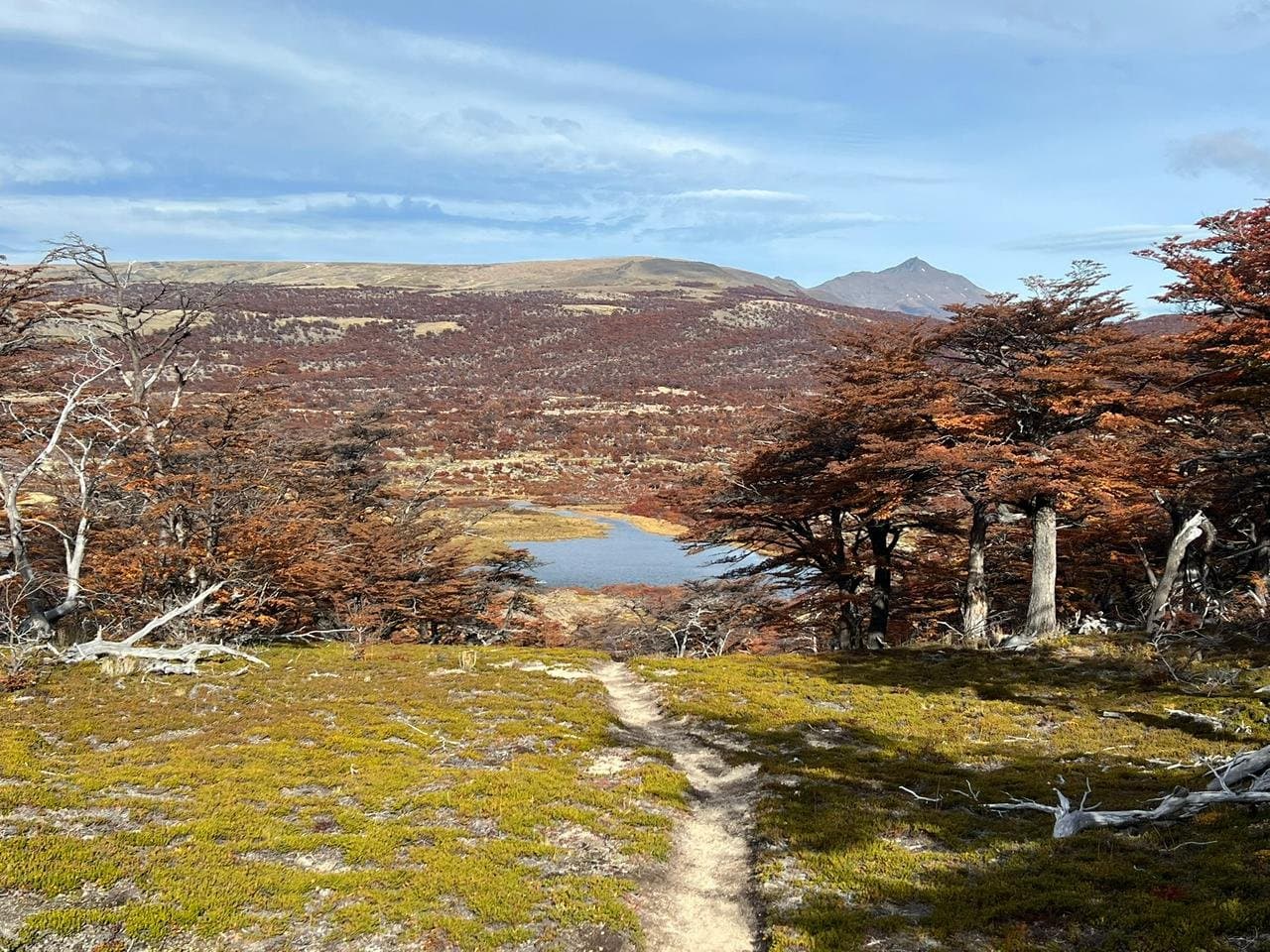Guanaco trekking Laguna Azul 3